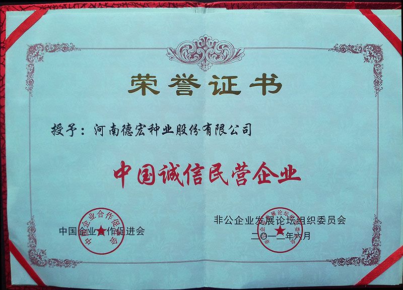 **民營企業(yè)
